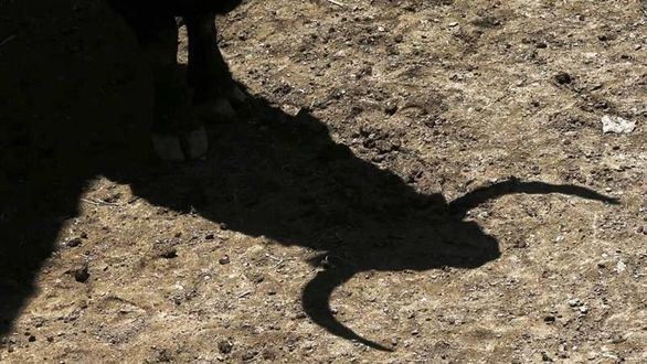 Del desencanto general al reivindicativo triunfo bajo el aguacero de Toñete