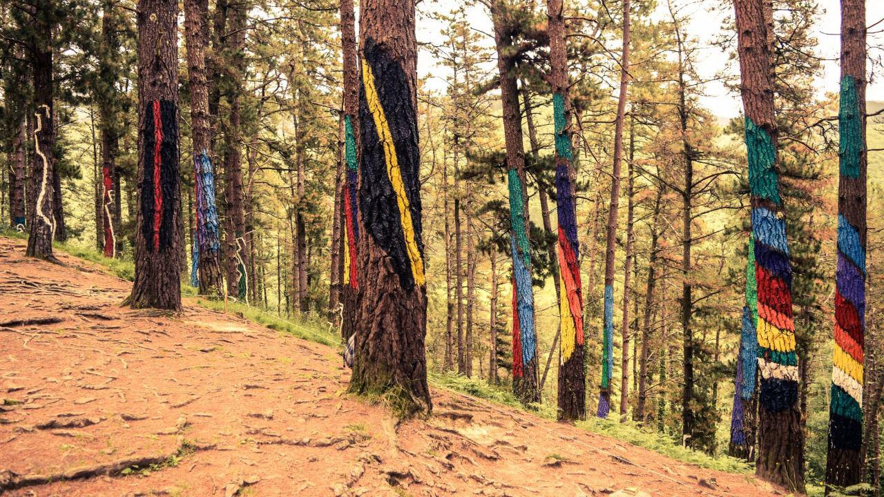 El bosque de Oma, un museo al aire libre que resurgió de sus cenizas
