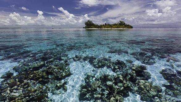 El arrecife de coral de Belice, fuera de la lista de lugares en peligro de la Unesco