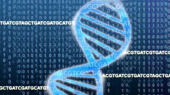 Identificados nuevos genes relacionados con el riesgo de sufrir cáncer