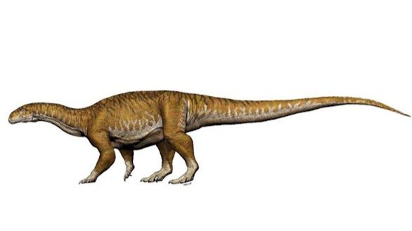 Los dinosaurios gigantes aparecieron casi 30 millones de años antes
