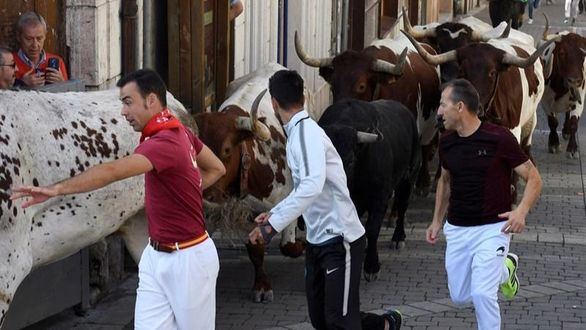 Una cogida leve en el primer encierro de Cuéllar, declarado de Interés Internacional