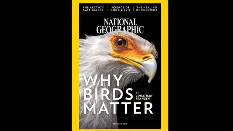 National Geographic cumple 130 años como líder en divulgación científica