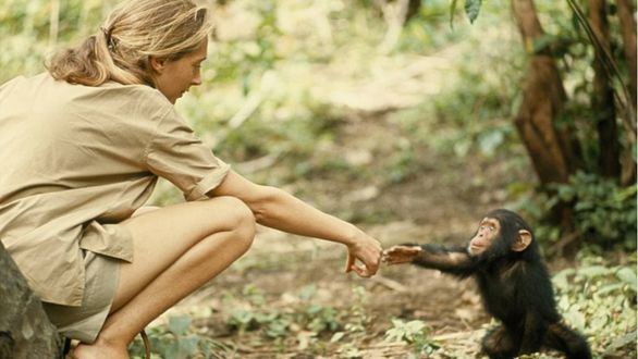 Encuentro con Jane Goodall en el Espacio Fundación Telefónica