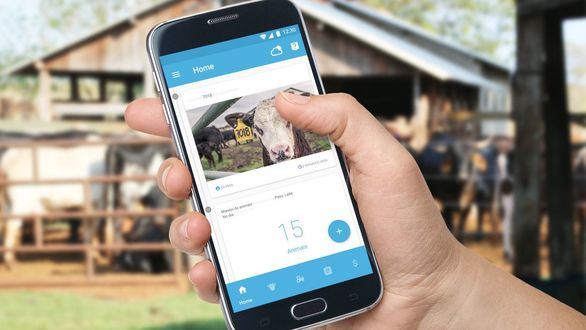 Telefónica premia tres iniciativas tecnológicas y sociales para impulsar la innovación sostenible