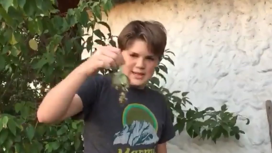 'Adiós, Chimuelo': el entierro de un periquito que se ha vuelto viral