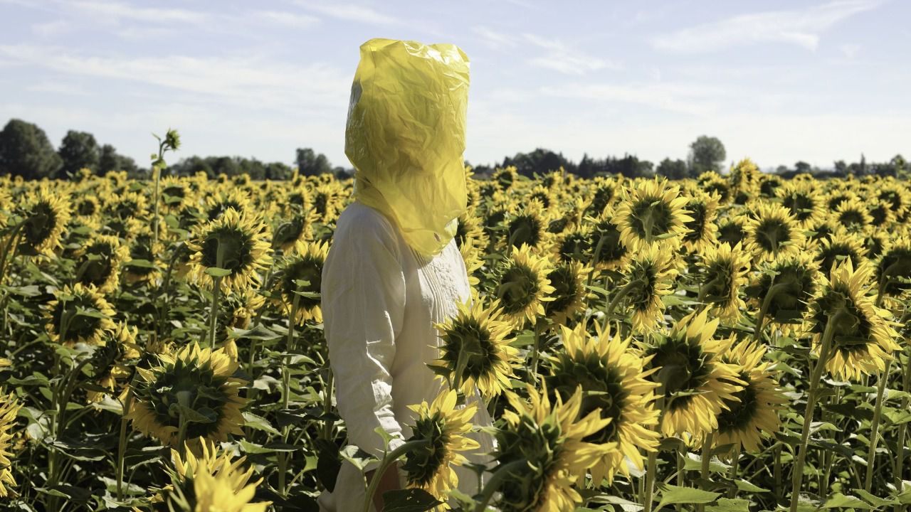 PHotoEspaña 2019 en cifras: 296 fotógrafos y artistas visuales en 85 exposiciones