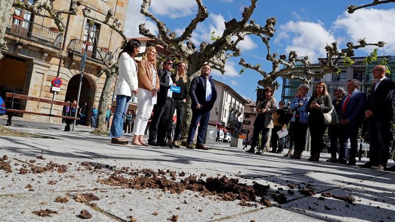 Abertzales navarros lanzan estiércol a Cayetana Álvarez de Toledo