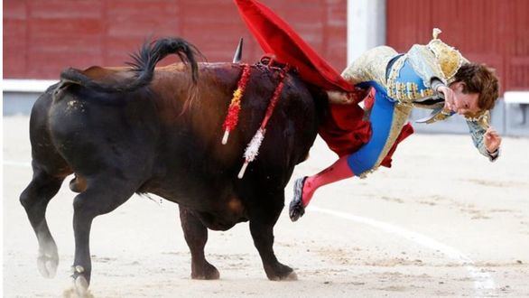 Román, con valor y entrega, cambia una oreja de ley por una tremenda cornada
