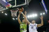 Eslovenia se basta con Dragic para vencer a Corea