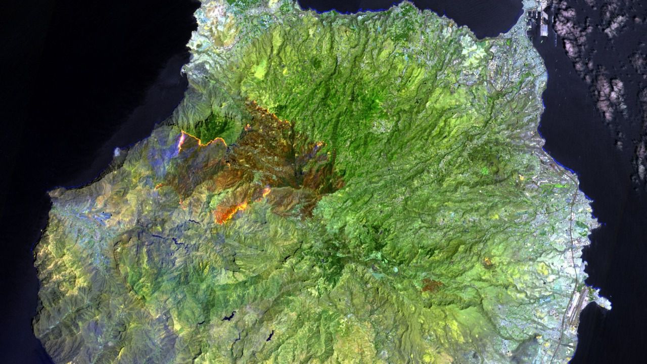 Incendio en Gran Canaria: unos 9.800 evacuados vuelven a sus casas