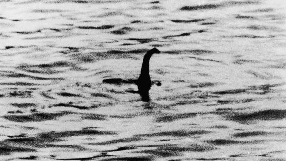 ¿Y si el monstruo del Lago Ness fuera en realidad una anguila gigante?