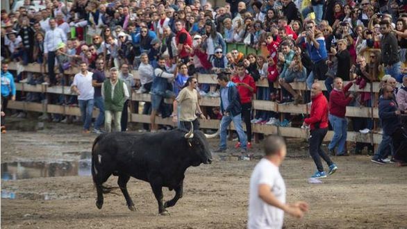 El Toro de la Vega 
