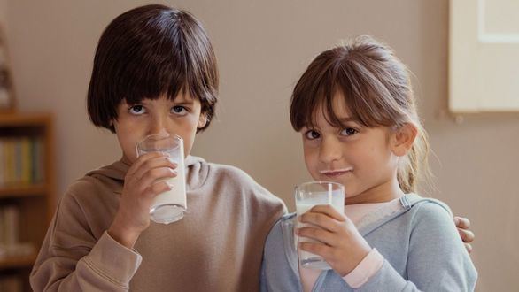 La Obra Social ”la Caixa” y CaixaBank recogen 2,5 millones de litros de leche para los bancos de alimentos