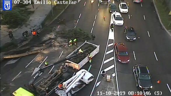 Caos en Madrid por la caída de un árbol de 15 metros en el Paseo de la Castellana