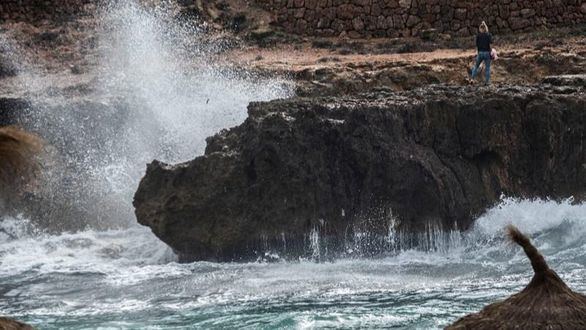 Muere una mujer en Mallorca al caerle una palmera a causa del viento