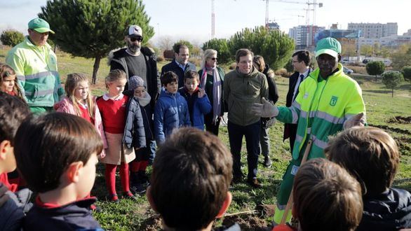 Madrid se tiñe de verde: el Ayuntamiento plantará más de 15.500 árboles hasta marzo