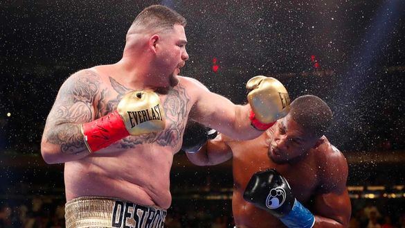 Boxeo. Joshua se venga de Ruiz y recupera sus cinturones mundiales