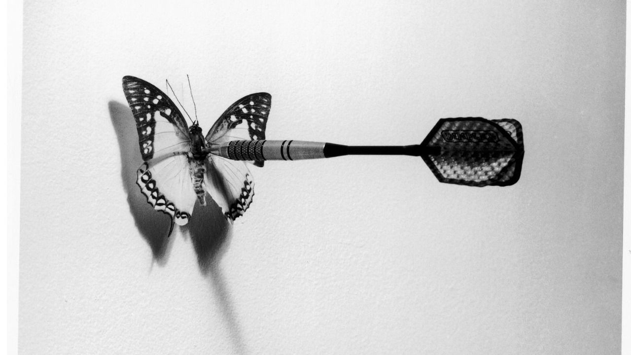 La naturaleza de las cosas a través de las fotografías de Chema Madoz