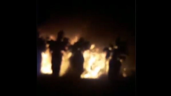 Un incendio calcina un vivero de 10 hectáreas de palmeras en Tarragona