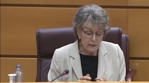 El lapsus de Rosa María Mateo en el Senado: 