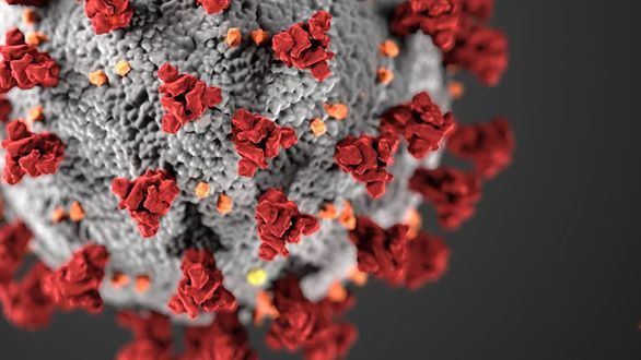 Estados Unidos crea la primera vacuna contra la Covid-19 con resultados positivos