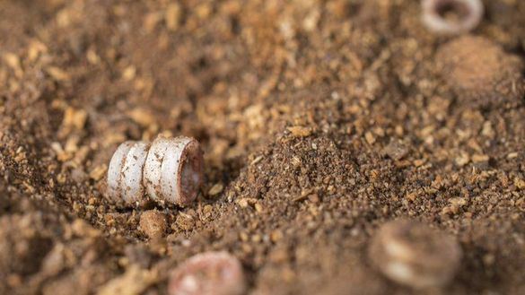 Hallan restos de un ajuar funerario del Neolítico en la Cueva de Nerja