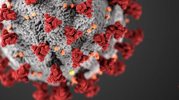 Hallada una mutación del coronavirus que podría haberlo hecho más contagioso