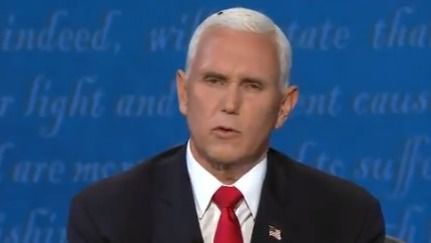 Una mosca, la invitada no deseada del debate Pence-Harris