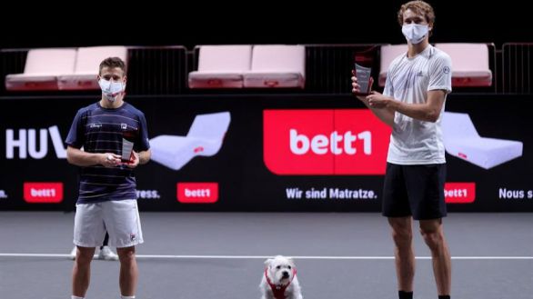 ATP. Zverev vuelve a ganar en Colonia y Humbert conquista Amberes