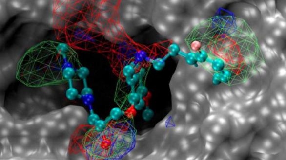 La Universidad de Maryland descubre nuevos compuestos eficaces contra el SARS-CoV-2