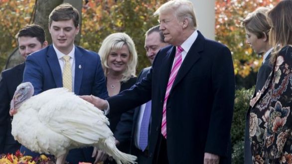 Estados Unidos se prepara para Acción de Gracias en pleno repunte de contagios