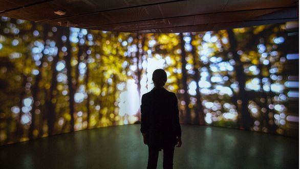 La relación entre naturaleza y tecnología a través de las obras de videomapping de Lemercier