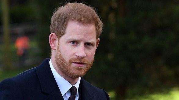 El Príncipe Enrique luchará contra la desinformación en su segundo empleo