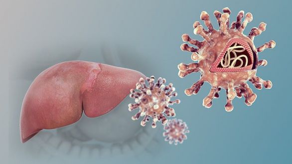 Descifran cómo el virus de la hepatitis C esquiva el sistema inmune
