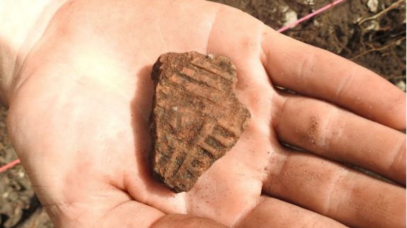 Arqueólogos creen haber descubierto un asentamiento indígena en Florida