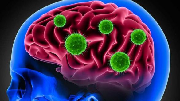 La Covid daña el cerebro de algunos enfermos igual que el alzheimer y el parkinson