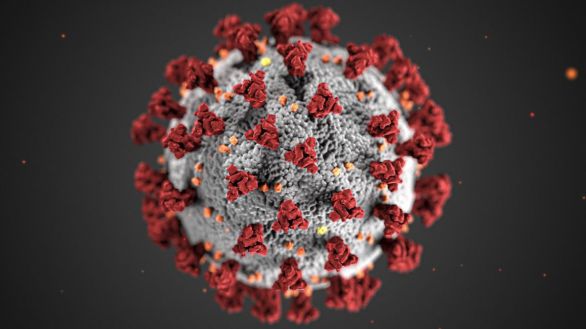 Una epidemia de coronavirus azotó Asia oriental hace más de 20.000 años