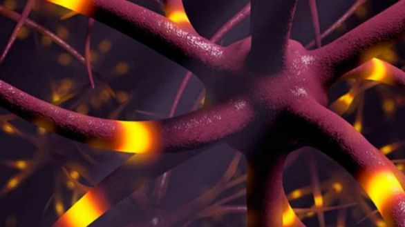 Nueva estrategia para tratar las crisis epilépticas