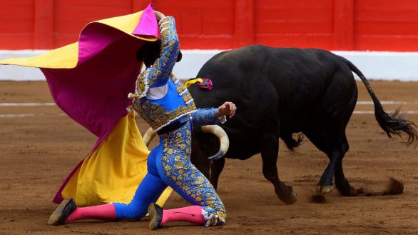 Los toros interesan a un 25 por ciento de la población española