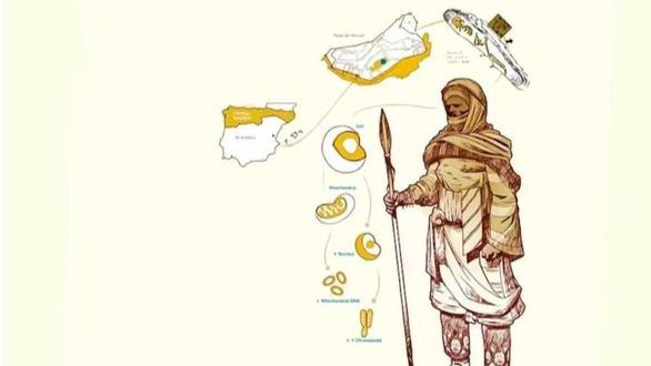 Aclarado el origen del ‘Gigante de Segorbe’ de la España medieval