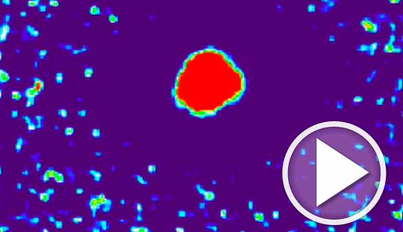 Descubierto con colaboración española un nuevo exoplaneta