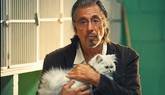 Señor Manglehorn , universo Al Pacino