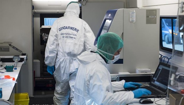 Los investigadores han identificado ya los 150 perfiles genéticos diferentes