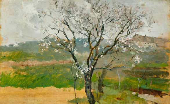 Cultura pide 43.000 euros a los contribuyentes para comprar un Sorolla