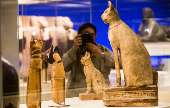 Animales y faraones: el reino animal en el Antiguo Egipto