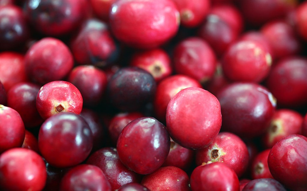 Extracto de arándano para combatir las infecciones urinarias en bebés lactantes