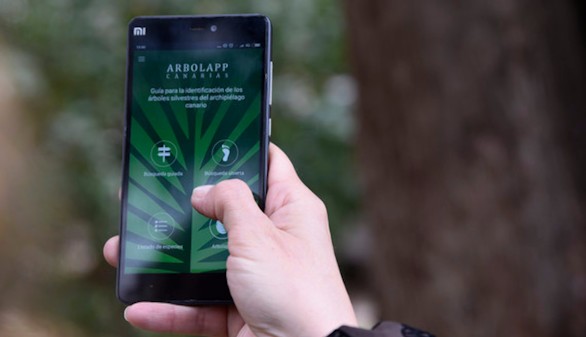 Arbolapp Canarias, la aplicación para identificar los árboles de las islas