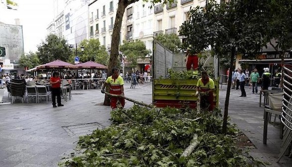 Fallece un hombre tras caerle encima la rama de un árbol en Madrid