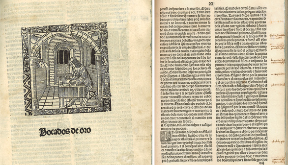 La BNE adquiere un tratado didáctico del siglo XIII de gran rareza